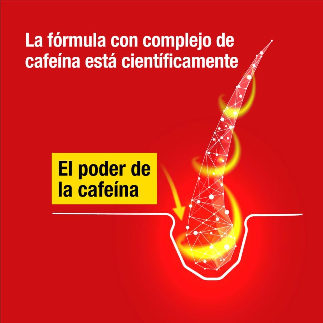 Alpecin Caffeine Shampoo C1 2x 375ml | Champu anticaida hombre y con cafeina | Tratamiento para la caida del cabello | Alpecin Shampoo Anti Hair Loss Treatment Men